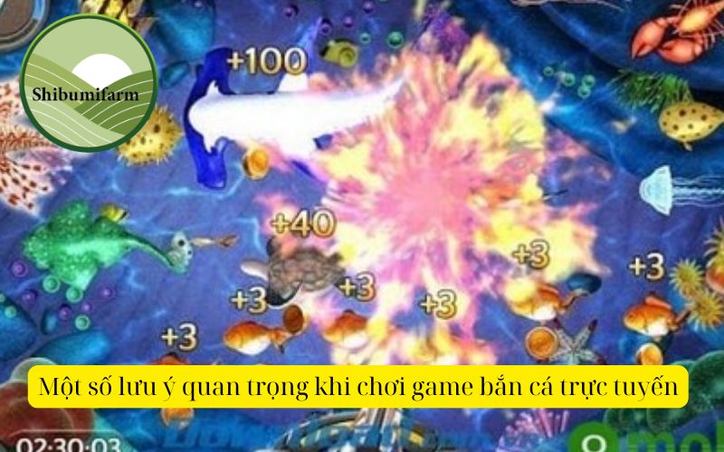 Cách nhận thưởng nhanh chóng khi chơi game bắn cá trực tuyến